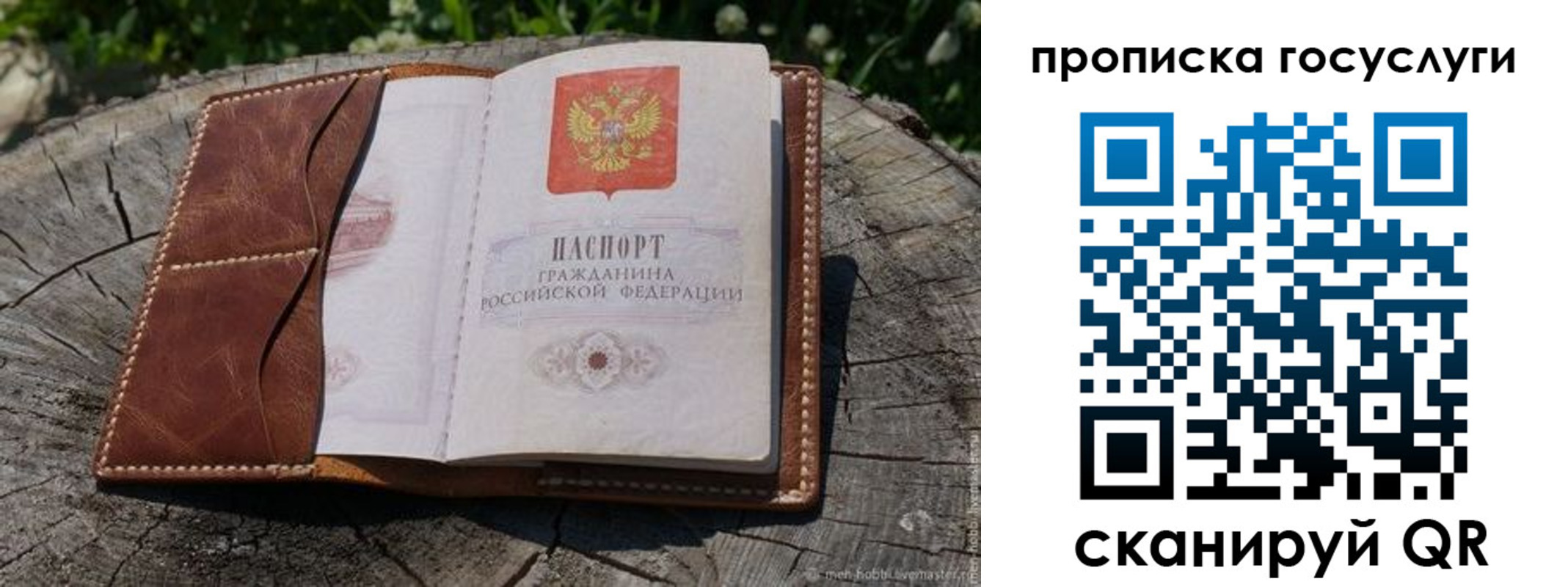прописка для школы в Гаврилов-Яме